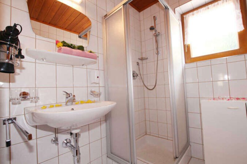 Badezimmer mit Dusche in der Ferienwohnung 2 im Landhaus Tschafein